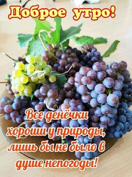 false