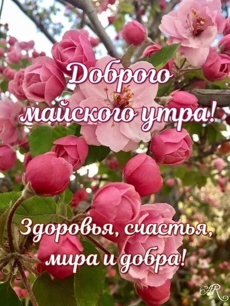 false
