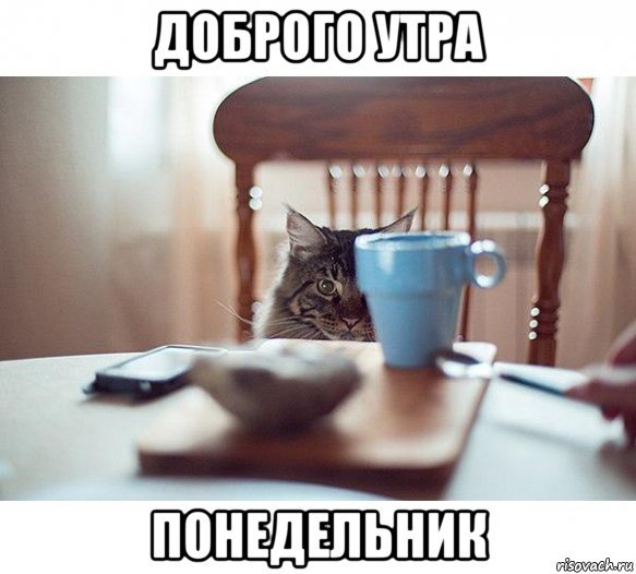 false