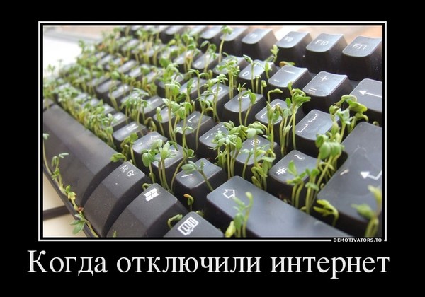 Отключили интернет смешная картинка