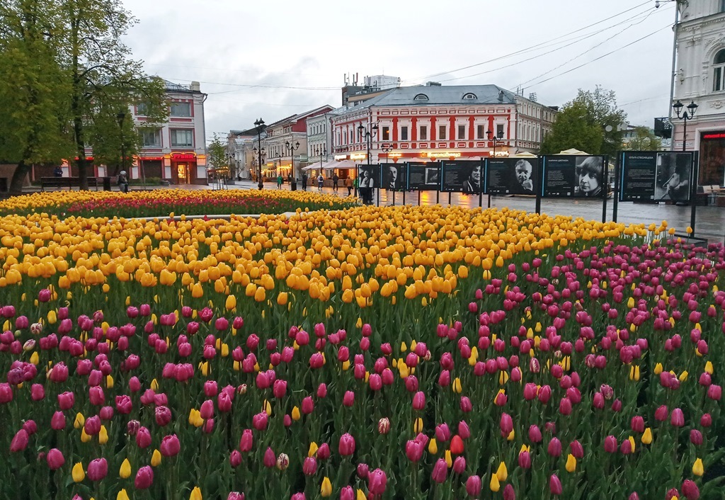 https://content.foto.my.mail.ru/list/s1_62/39507/h-39550.jpg