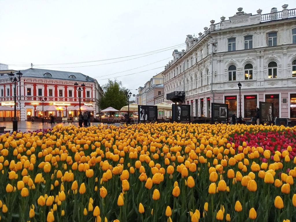 https://content.foto.my.mail.ru/list/s1_62/39507/h-39554.jpg