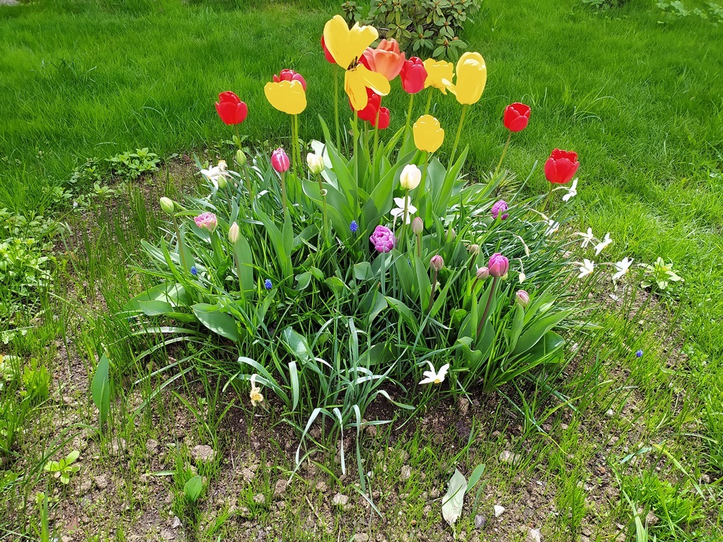https://content.foto.my.mail.ru/list/s1_62/39933/h-39958.jpg