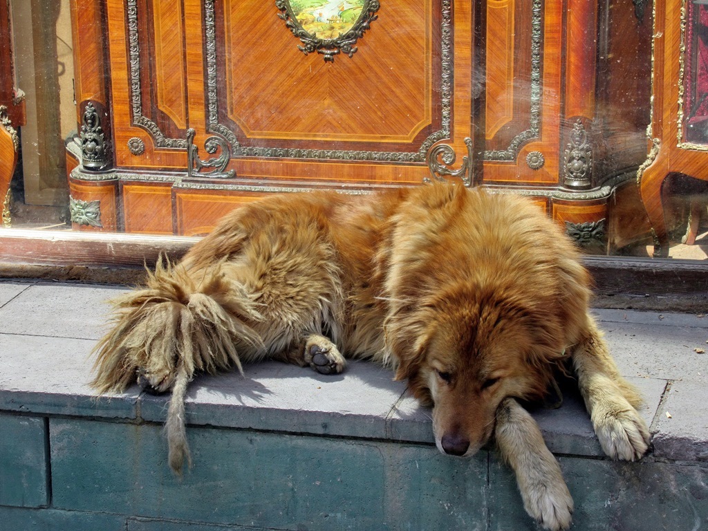https://content.foto.my.mail.ru/list/s1_62/40654/h-40767.jpg