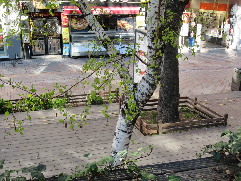 https://content.foto.my.mail.ru/list/s1_62/40862/h-41057.jpg