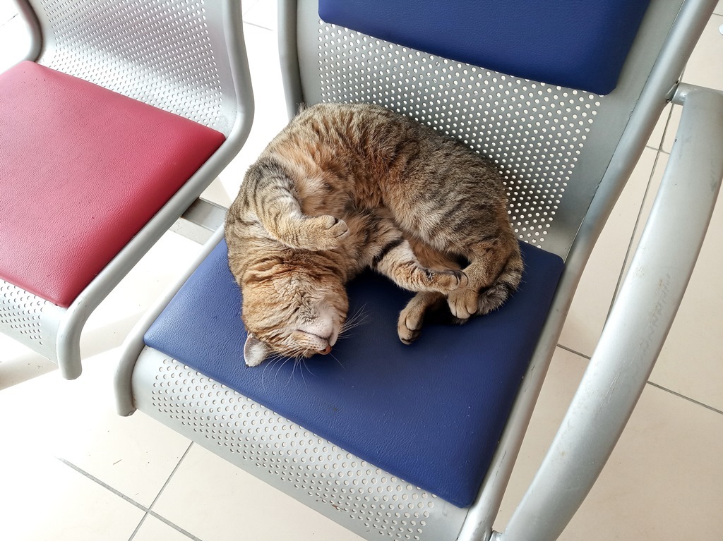 https://content.foto.my.mail.ru/list/s1_62/41151/h-41177.jpg