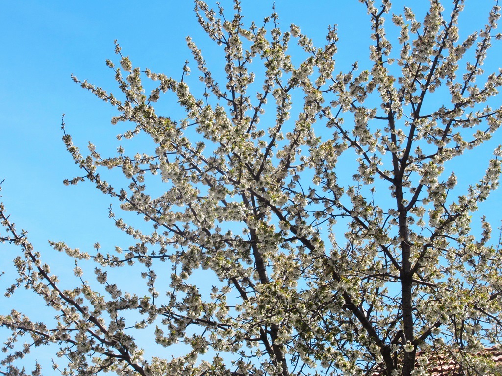 https://content.foto.my.mail.ru/list/s1_62/41151/h-41297.jpg