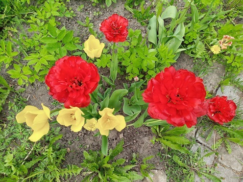https://content.foto.my.mail.ru/list/s1_62/41841/h-41871.jpg