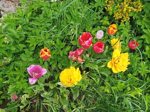 https://content.foto.my.mail.ru/list/s1_62/41841/h-41873.jpg