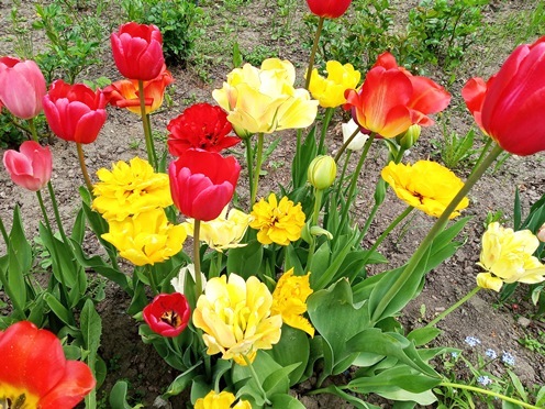https://content.foto.my.mail.ru/list/s1_62/41841/h-41875.jpg