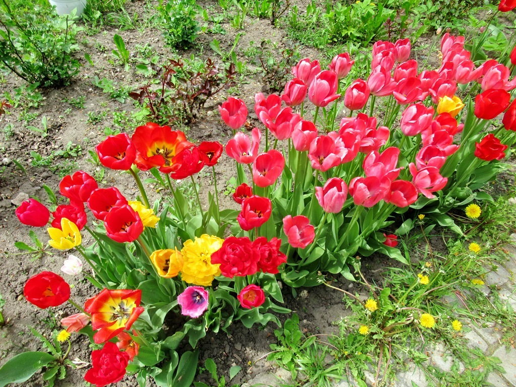 https://content.foto.my.mail.ru/list/s1_62/41841/h-41876.jpg