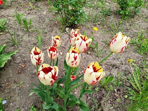 https://content.foto.my.mail.ru/list/s1_62/41841/h-41877.jpg