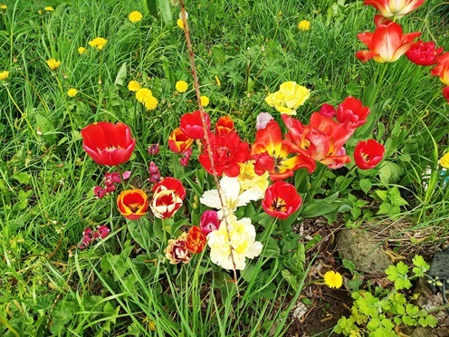 https://content.foto.my.mail.ru/list/s1_62/41841/h-41878.jpg