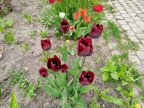 https://content.foto.my.mail.ru/list/s1_62/41841/h-41879.jpg