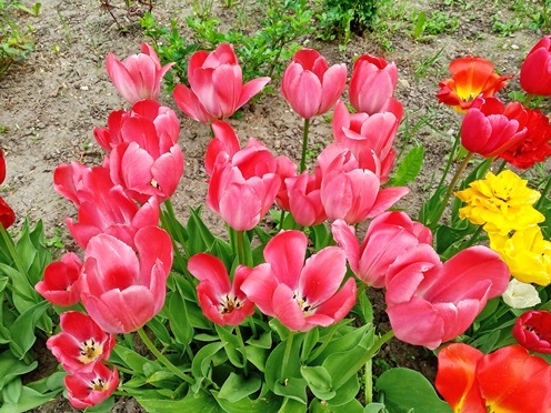 https://content.foto.my.mail.ru/list/s1_62/41841/h-41880.jpg