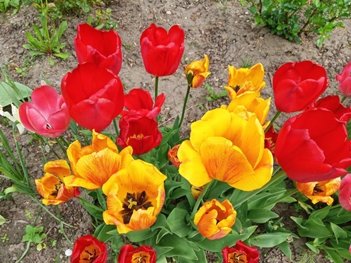 https://content.foto.my.mail.ru/list/s1_62/41841/h-41881.jpg