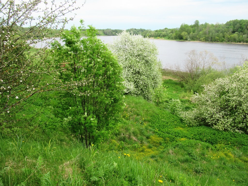 https://content.foto.my.mail.ru/list/s1_62/41841/h-41914.jpg