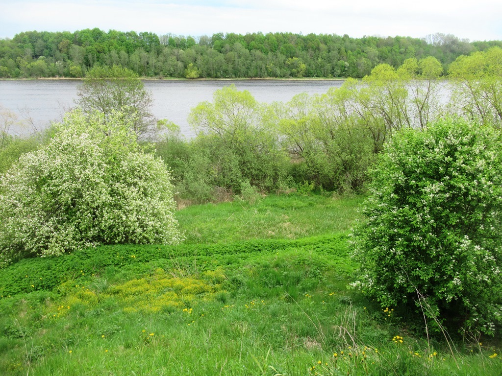 https://content.foto.my.mail.ru/list/s1_62/41841/h-41919.jpg