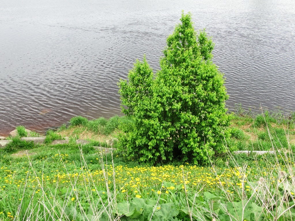 https://content.foto.my.mail.ru/list/s1_62/41841/h-41956.jpg