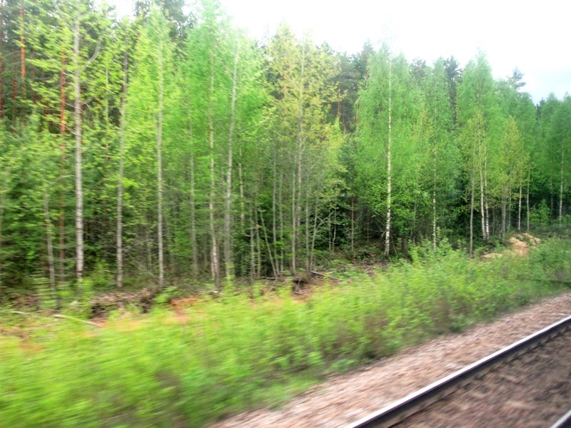 https://content.foto.my.mail.ru/list/s1_62/42080/h-42089.jpg
