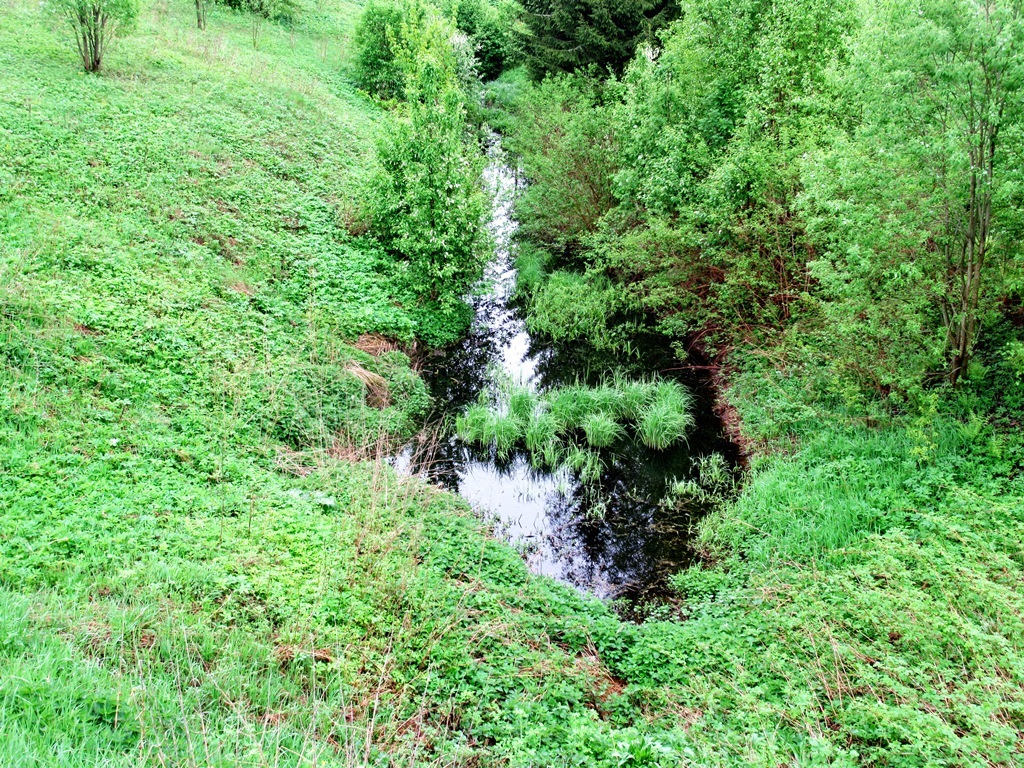 https://content.foto.my.mail.ru/list/s1_62/42177/h-42285.jpg