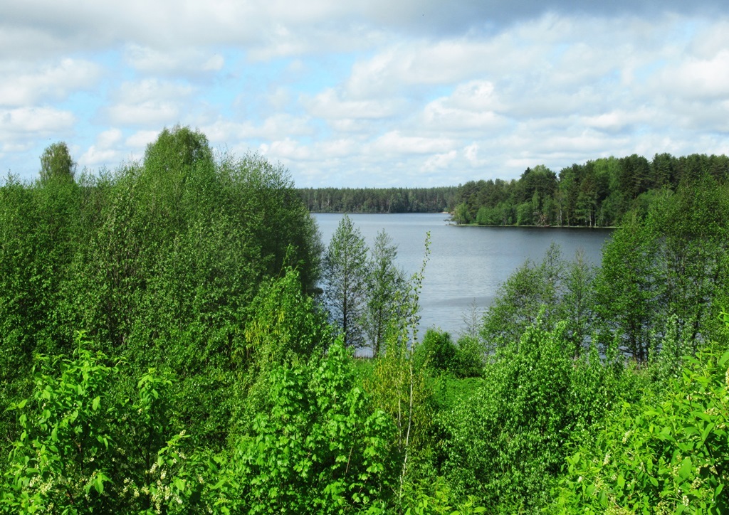 https://content.foto.my.mail.ru/list/s1_62/42177/h-42287.jpg