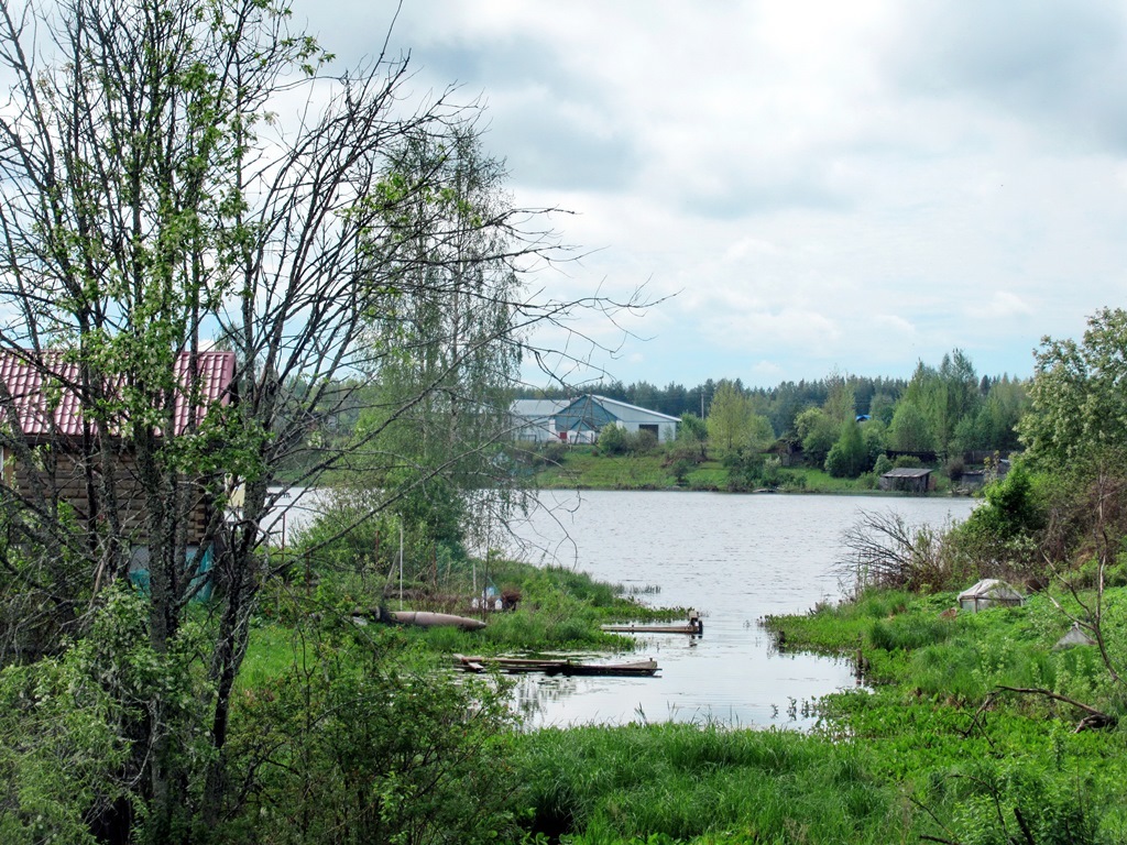 https://content.foto.my.mail.ru/list/s1_62/42177/h-42290.jpg