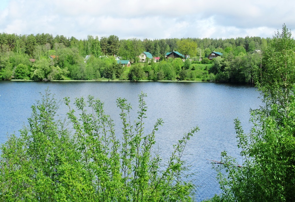 https://content.foto.my.mail.ru/list/s1_62/42177/h-42319.jpg