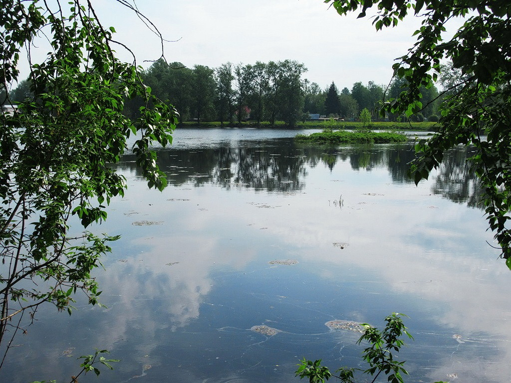 https://content.foto.my.mail.ru/list/s1_62/42360/h-42383.jpg