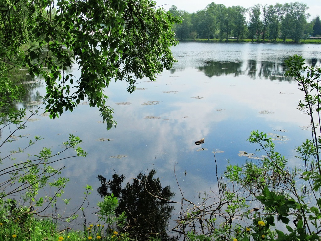 https://content.foto.my.mail.ru/list/s1_62/42360/h-42387.jpg