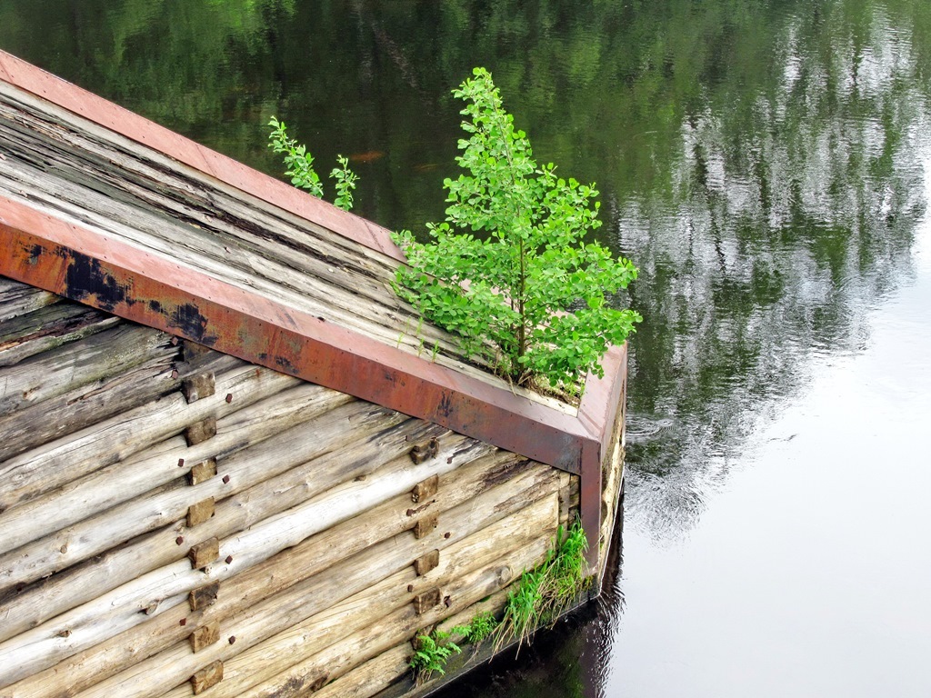 https://content.foto.my.mail.ru/list/s1_62/42360/h-42547.jpg