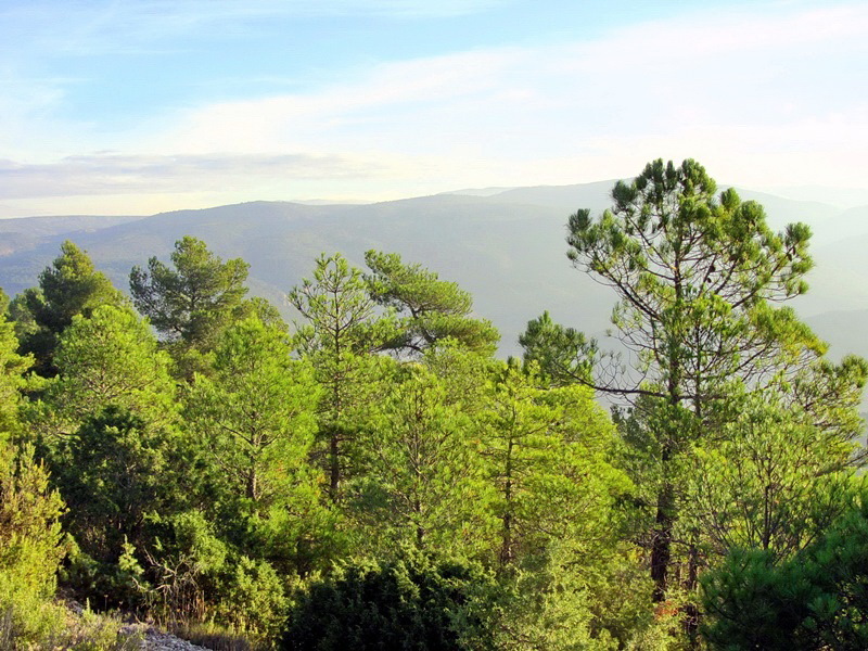 В краю мудехара: Теруэль, Альбаррасин, вода и горы, пейзажи и ландшафты