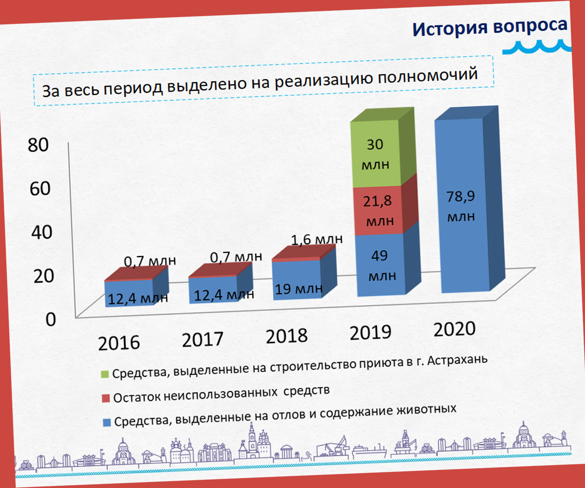 Проблему бродячих собак в Астрахани получится решить не раньше, чем за два  года