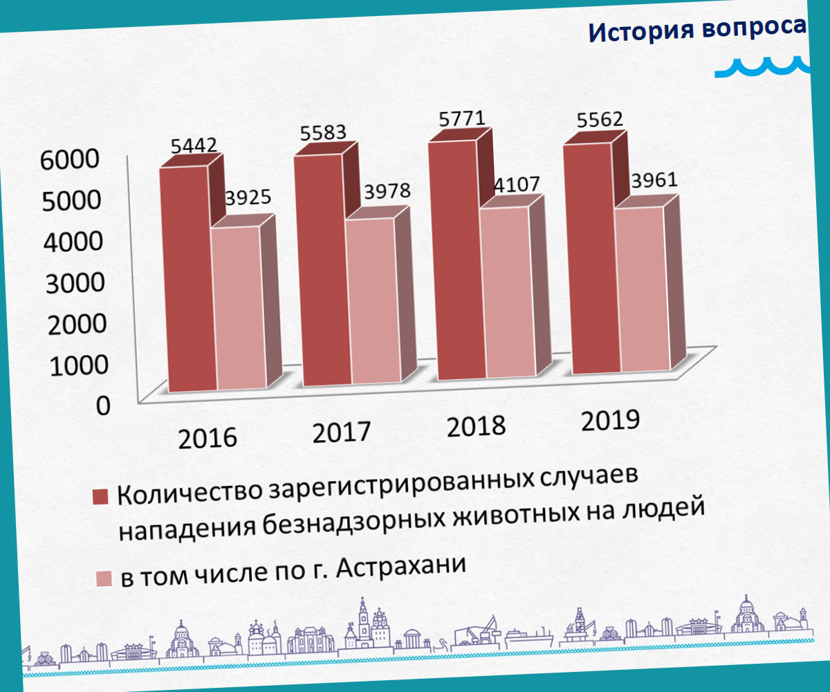 Проблему бродячих собак в Астрахани получится решить не раньше, чем за два  года