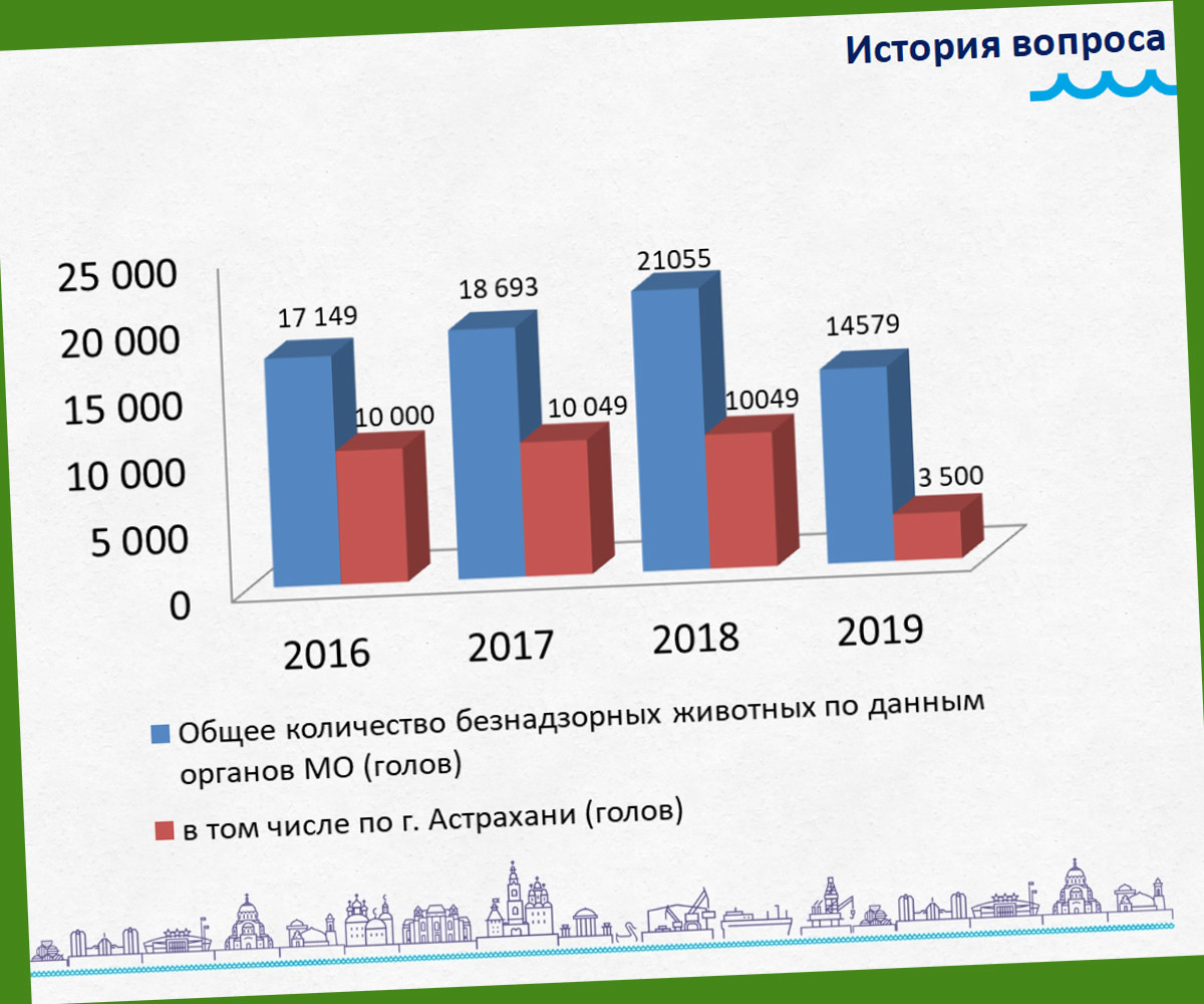 Проблему бродячих собак в Астрахани получится решить не раньше, чем за два  года