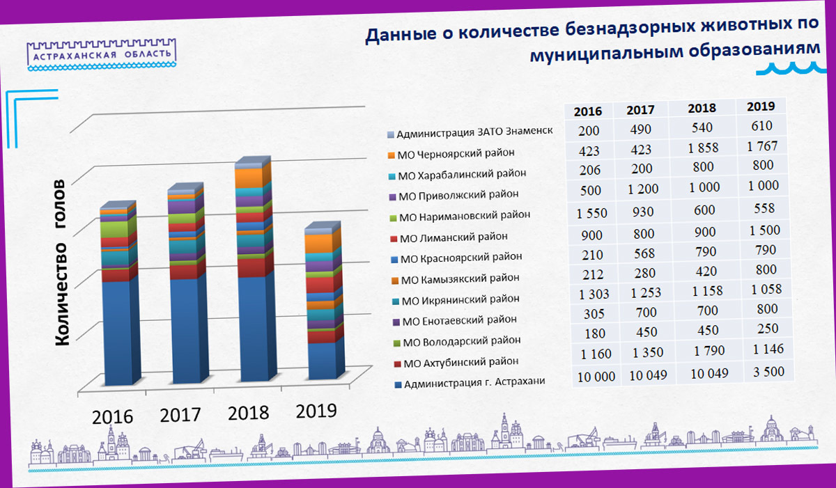 Проблему бродячих собак в Астрахани получится решить не раньше, чем за два  года