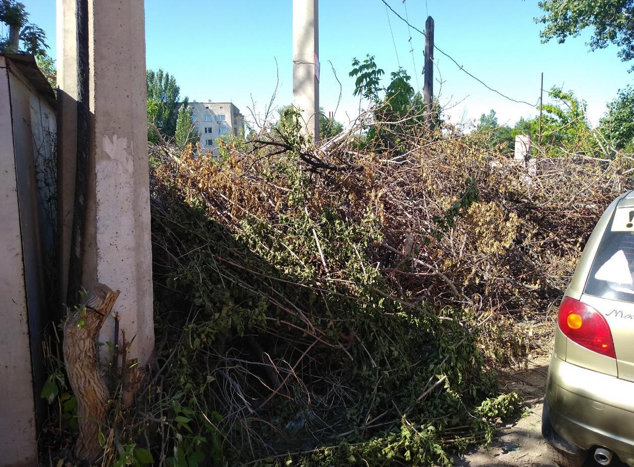 В Астрахани больше нельзя просто так кинуть палку