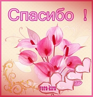 Спасибо Вера