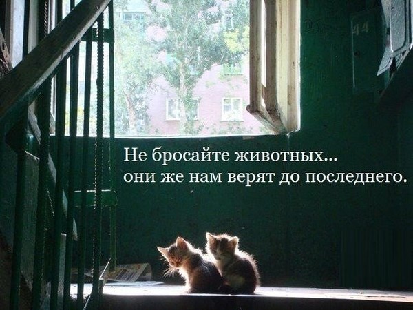 false