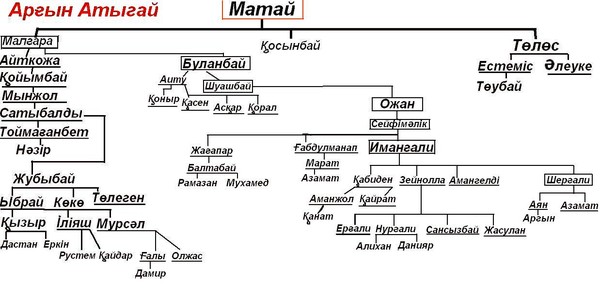 Шежире аргынов схема поколений