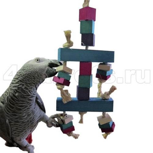http://content.foto.my.mail.ru/mail/4parrots/2015-11/h-447.jpg