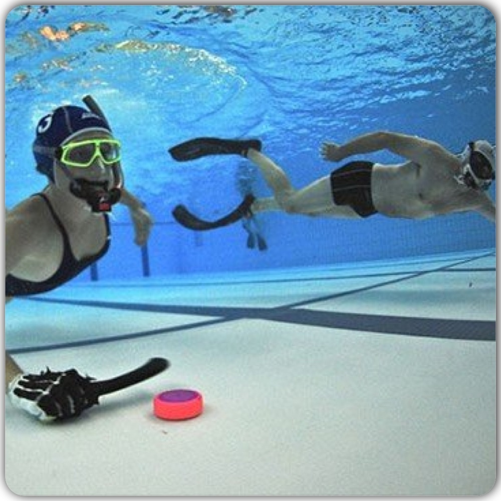 Underwater Hockey ворота