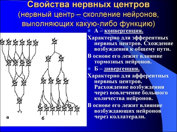 Конвергенция стенок это