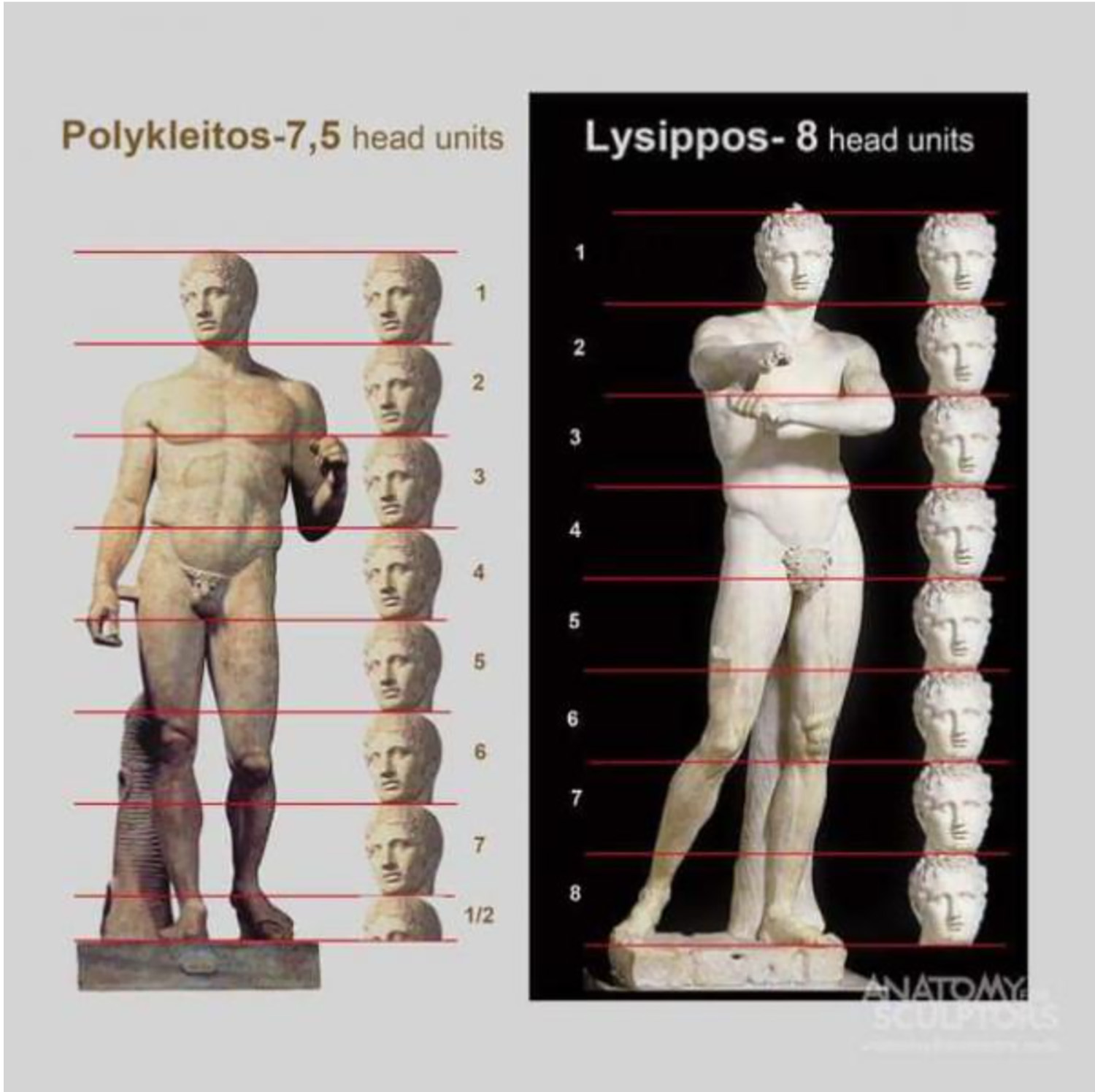 8 частей человека. Пропорции тела ребенка для скульптуры. Пропорции человека. Соотношение частей тела человека. Пропорции тела человека схема.
