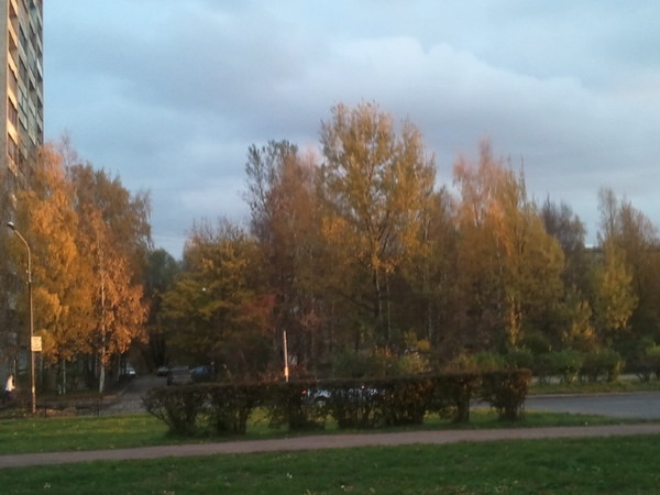 Вчерашнее...