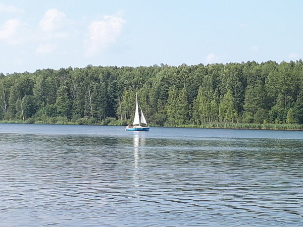 Десногорское водохранилище фото пляжа