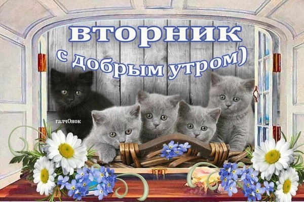 Доброе утро от Санго / Sango