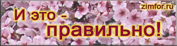 Решу все правильно фото