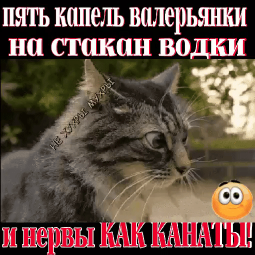 Не хухры мухры картинки с надписями