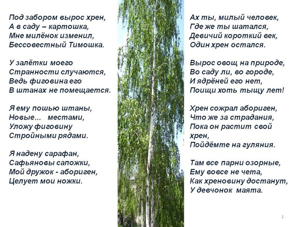 Я родился где то под забором. Частушки мой миленок. Мой Милёнок под забором. Мой миленок под забором березовый нашел. Частушка у моего Миленка.